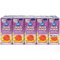 Great Value Peach Punch, 10x200 mL