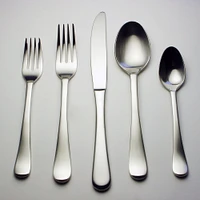 Stylex Lucia Satin Flatware Set