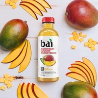 Bai Infusion antioxydante à faible teneur en calories, mangue du Malawi, 530 ml 530 ml