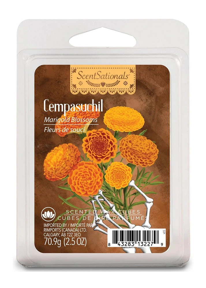 ScentSationals, Scented Wax Cubes, Cempasuchil