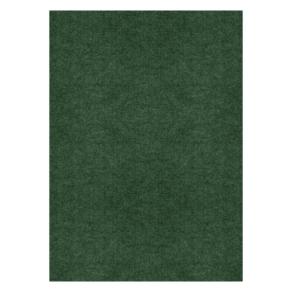 Tapis d'intérieur-extérieur vert de 6 pi x 8 pi