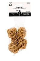 FolkArt Painting Tools - Sponge Value Pack, 5 pack of sea sponges