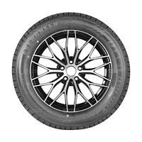 EVERGREEN  EH226 195/45R16XL 84W Tire