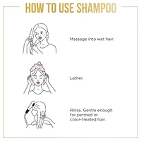 Shampooing Pantene Nutrient Blends Éclat hydratant Baobab + hyaluronique sans sulfate 440 mL