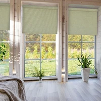Versailles' Marcellus Cordless Roller Shades (24in x 72in)