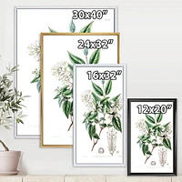 Designart Vintage Botanicals X FLOAT FRAME WALL ART