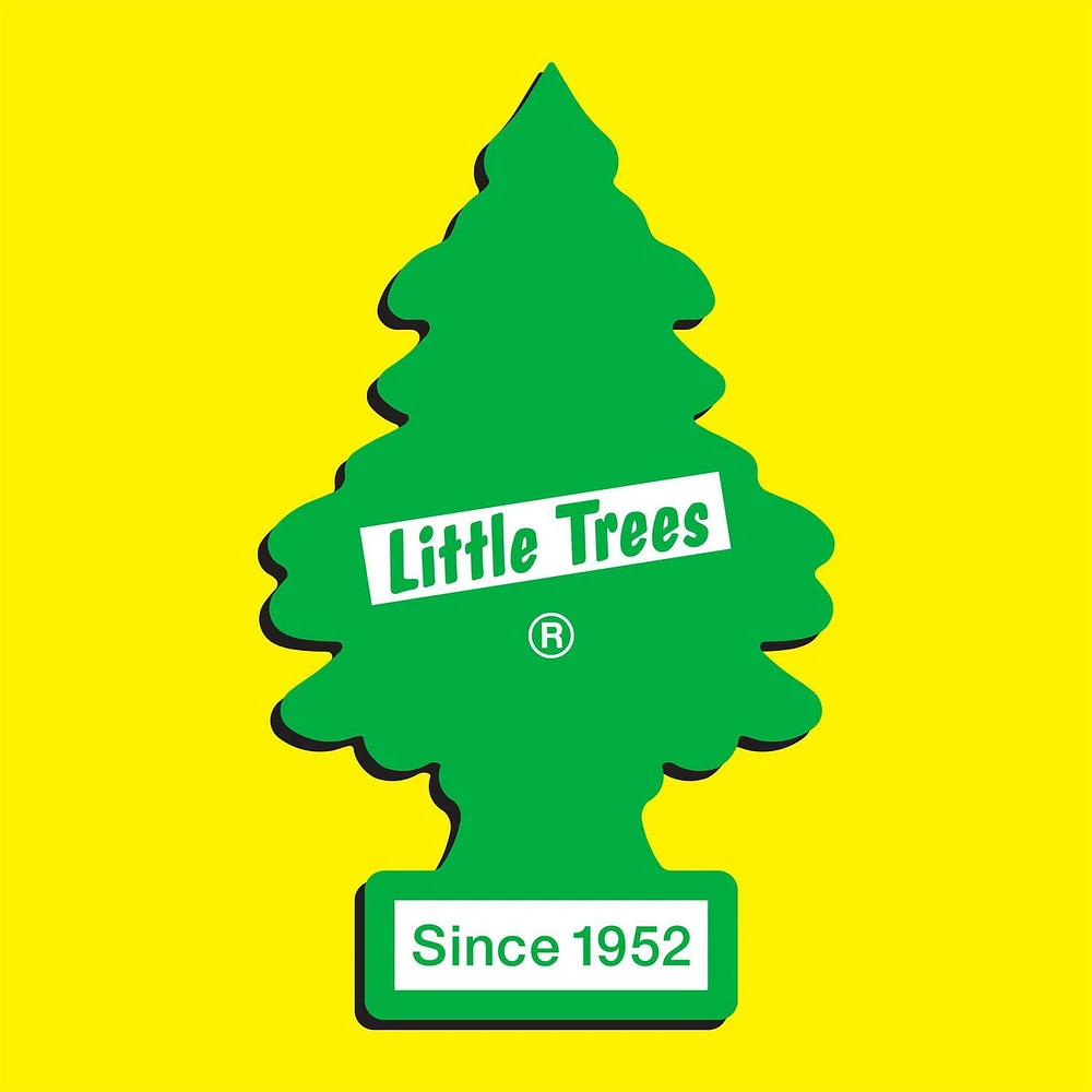 Assainisseur d'air LITTLE TREES Bayside Breeze 3-Pack Paq. de 3