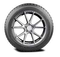 Antares Grip 20 205/60R16 96H BSW Tire
