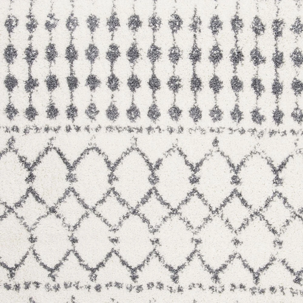 Safavieh Berber Fringe Phillip Aztec Shag Area Rug