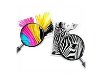 Cartouches d'encre HP 65 noires et trois couleurs originales, paq./2 (T0A36AN)