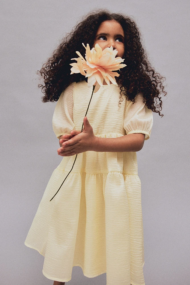 Patterned Organza Dress