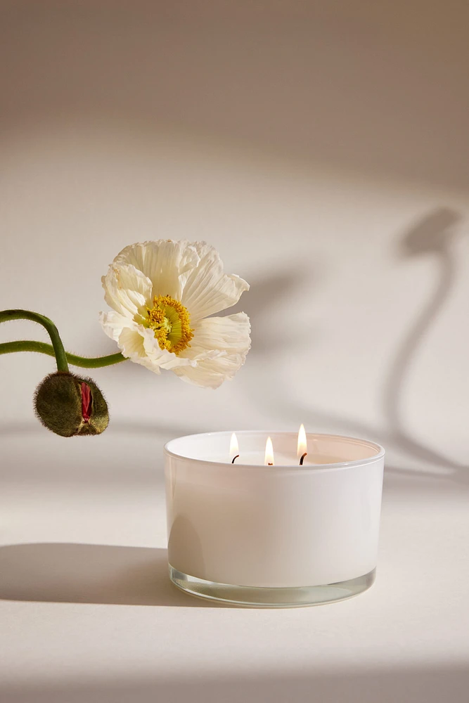 Scented Candle in Glass Holder