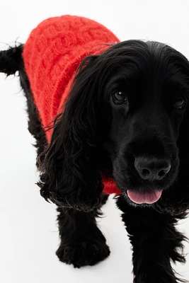 Cable-knit Dog Sweater