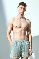 Seersucker Swim Shorts