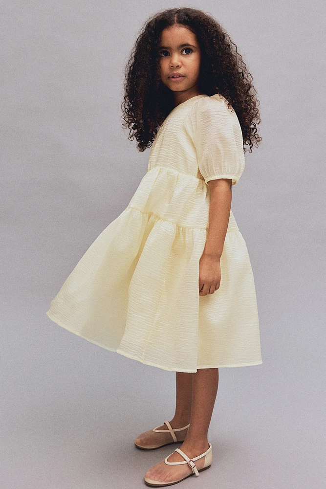 Patterned Organza Dress