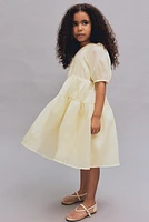 Patterned Organza Dress