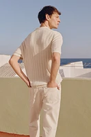 Regular Fit Linen-Blend Polo Shirt