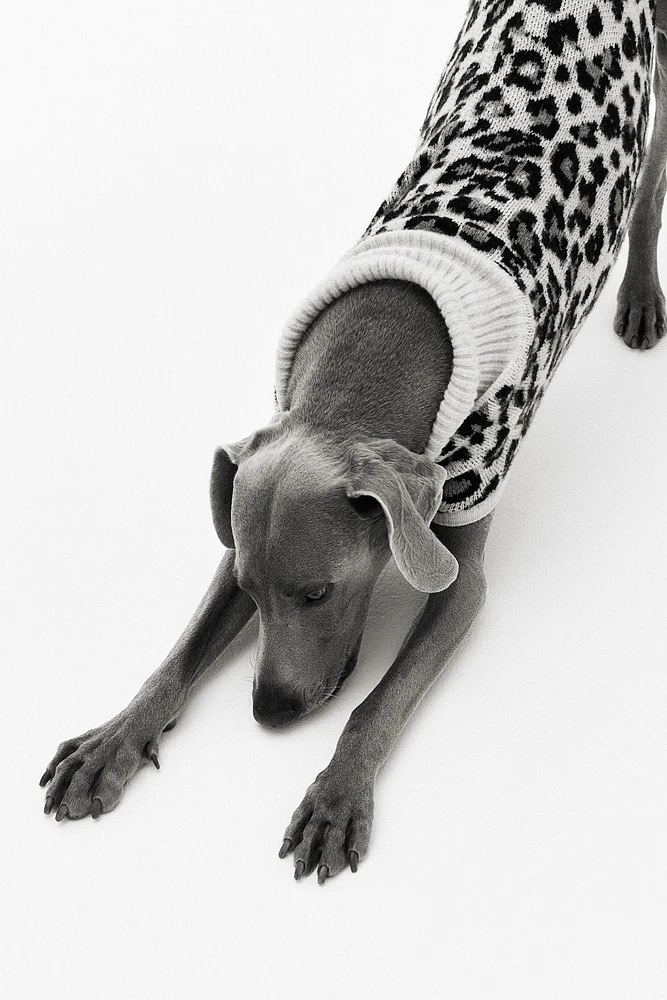 Jacquard-knit Dog Sweater