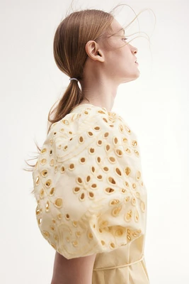 Dress with Eyelet-Embroidered Sleeves