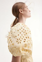 Dress with Eyelet-Embroidered Sleeves