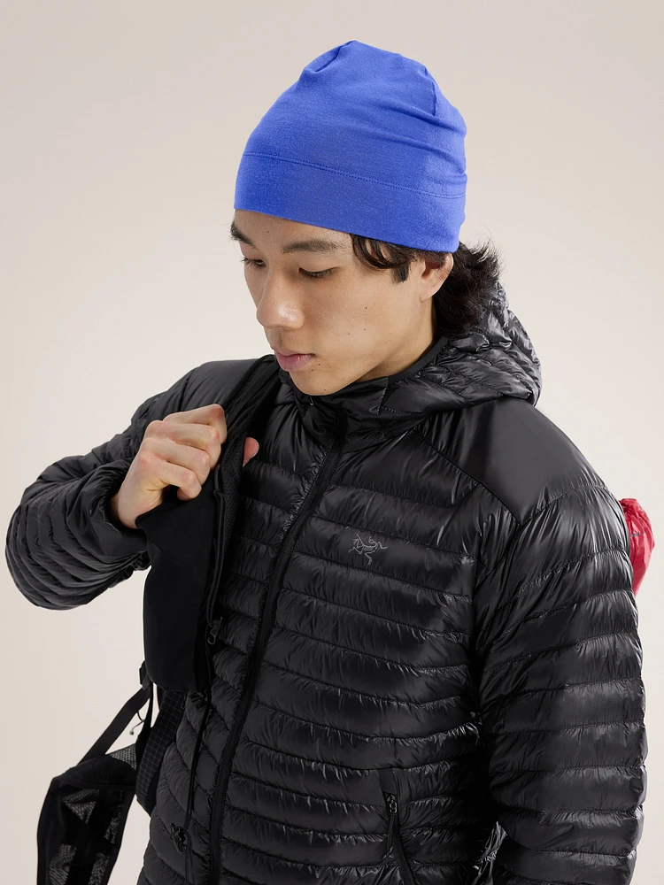 Rho Lightweight Wool Toque