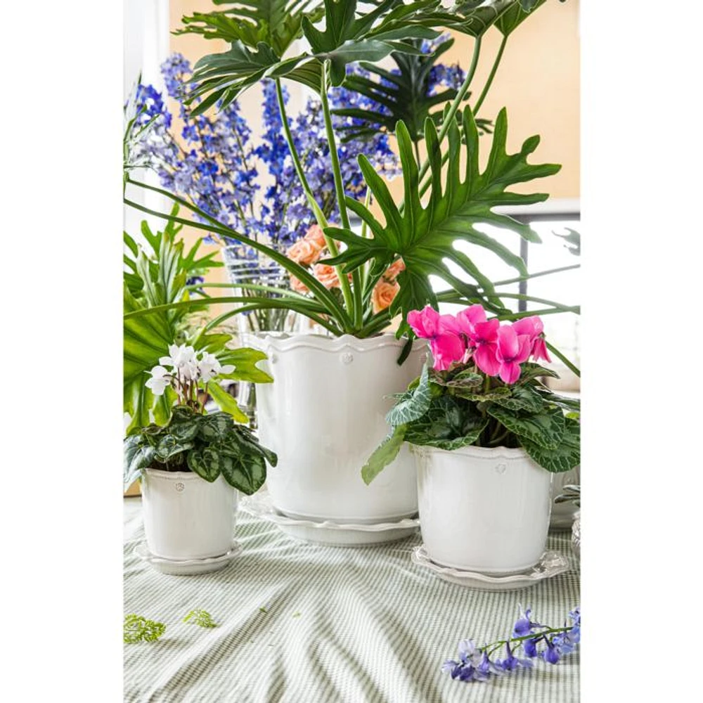 Berry & Thread Whitewash 12" Planter & Saucer