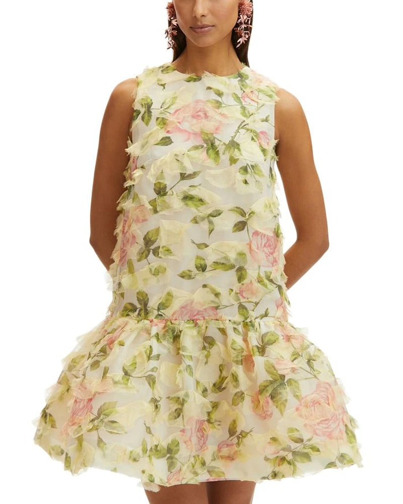 Jewel Neck English Rose Mini Dress