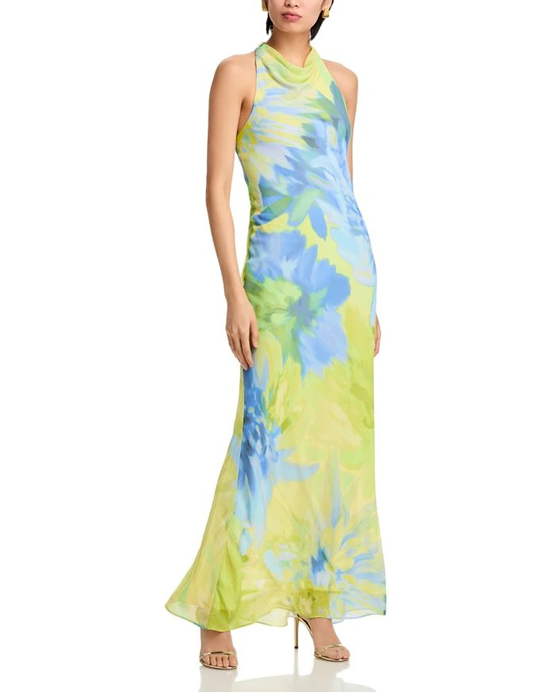 Printed Chiffon Maxi Dress