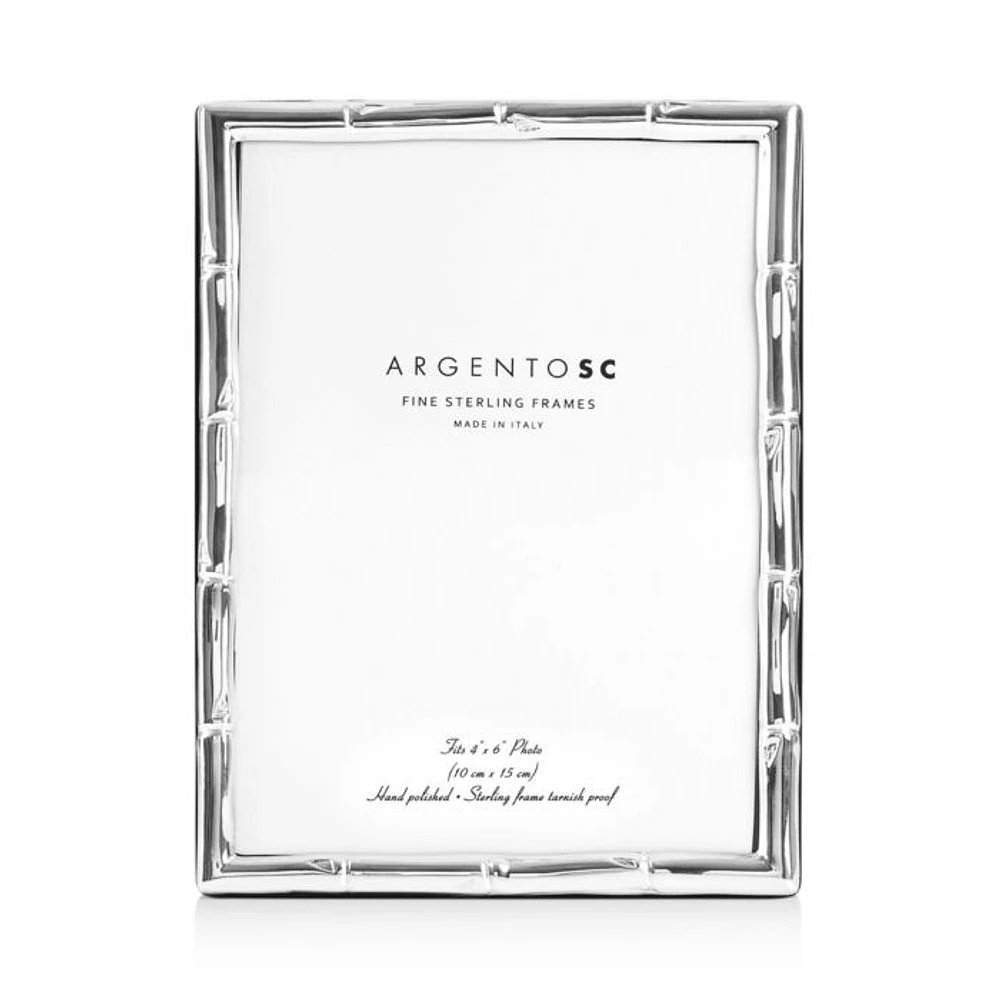 Bamboo Sterling Silver Frame
