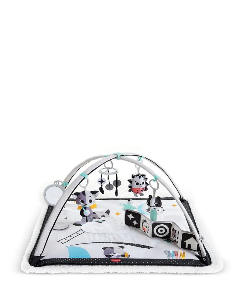 Magical Tales Gymini Baby Activity Gym and Mat - Ages 0+