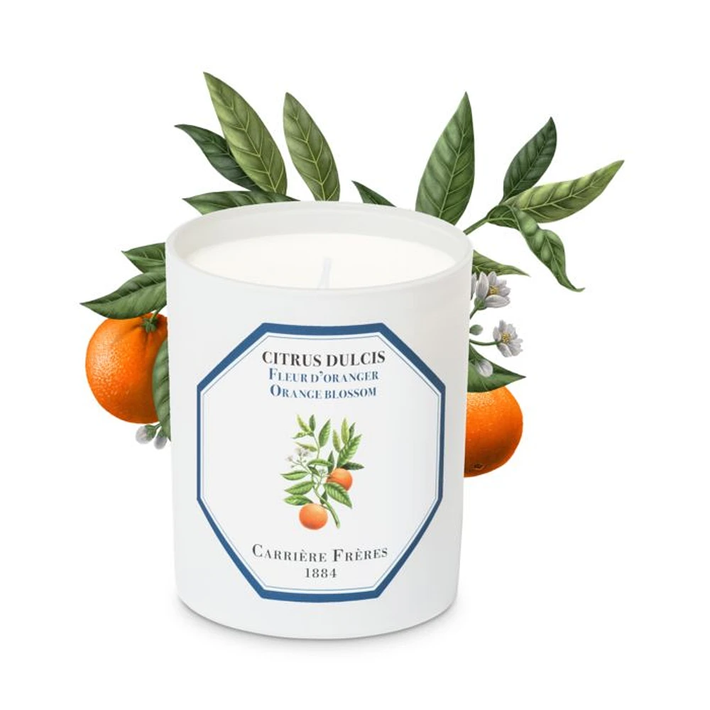 Orange Blossom Candle, 6.5 oz.