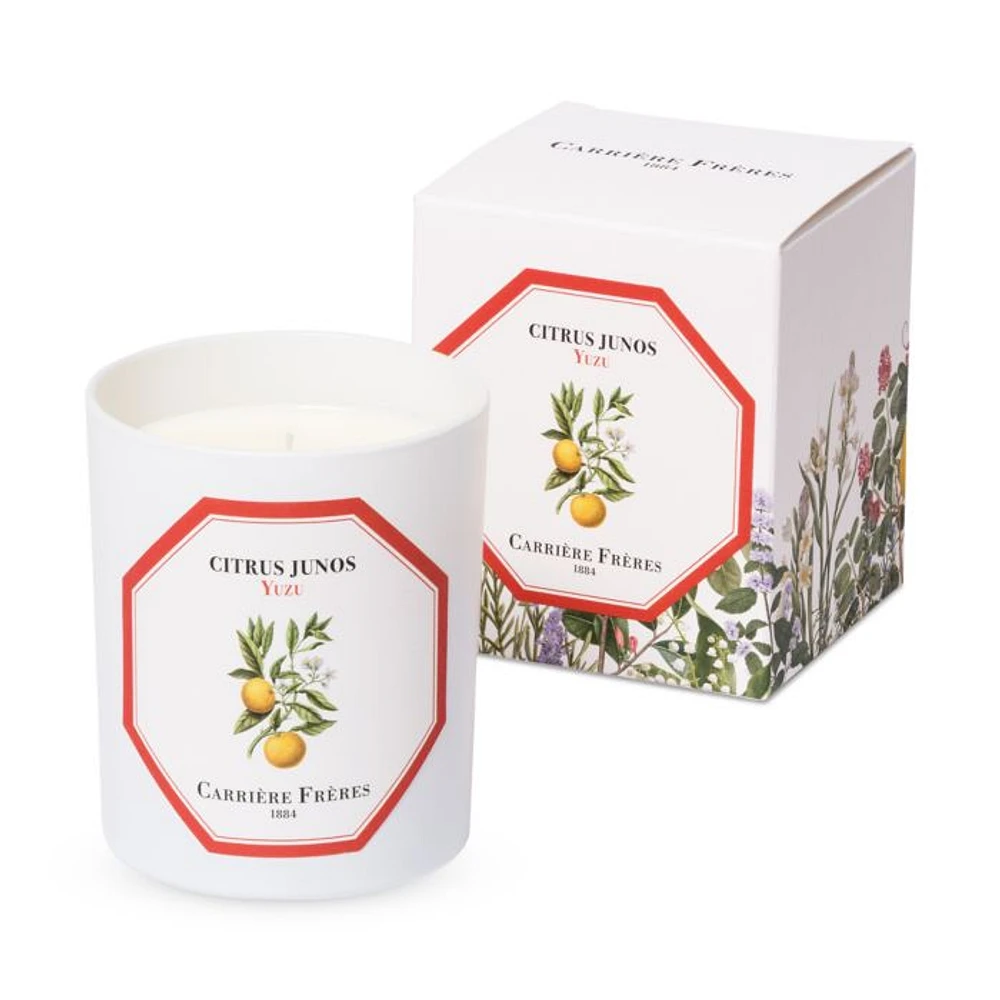 Yuzu Scented Candle, 6.5 oz.