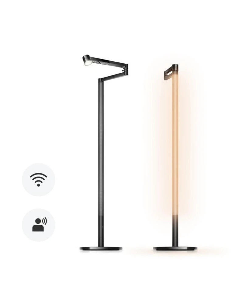 Solarcycle Morph Floor Light | Black