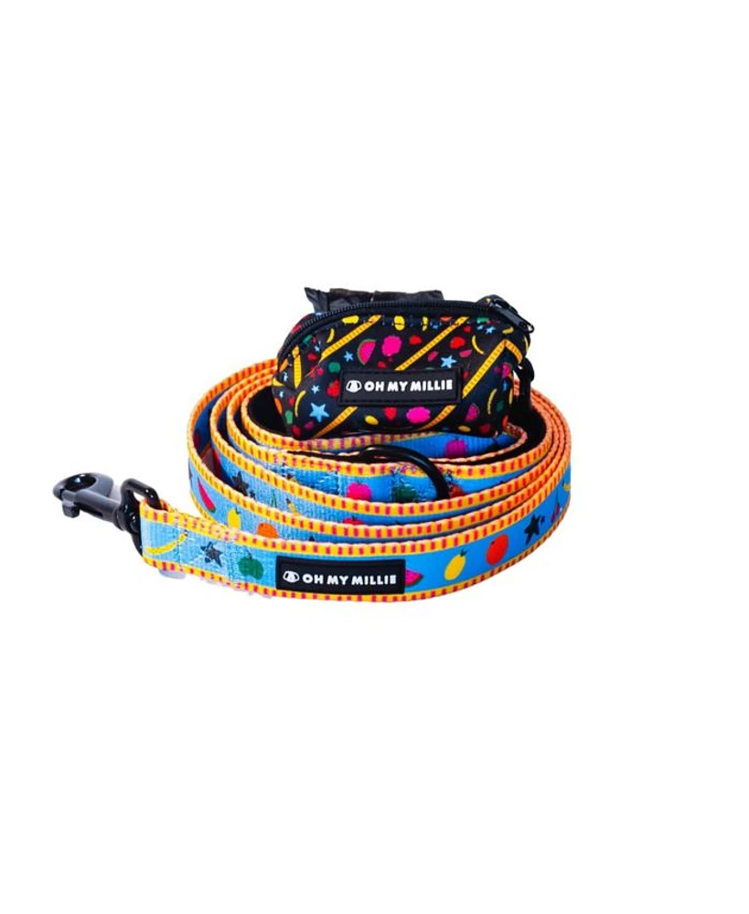 Dancing Fruits Dog Leash & Poop Bag Holder Set