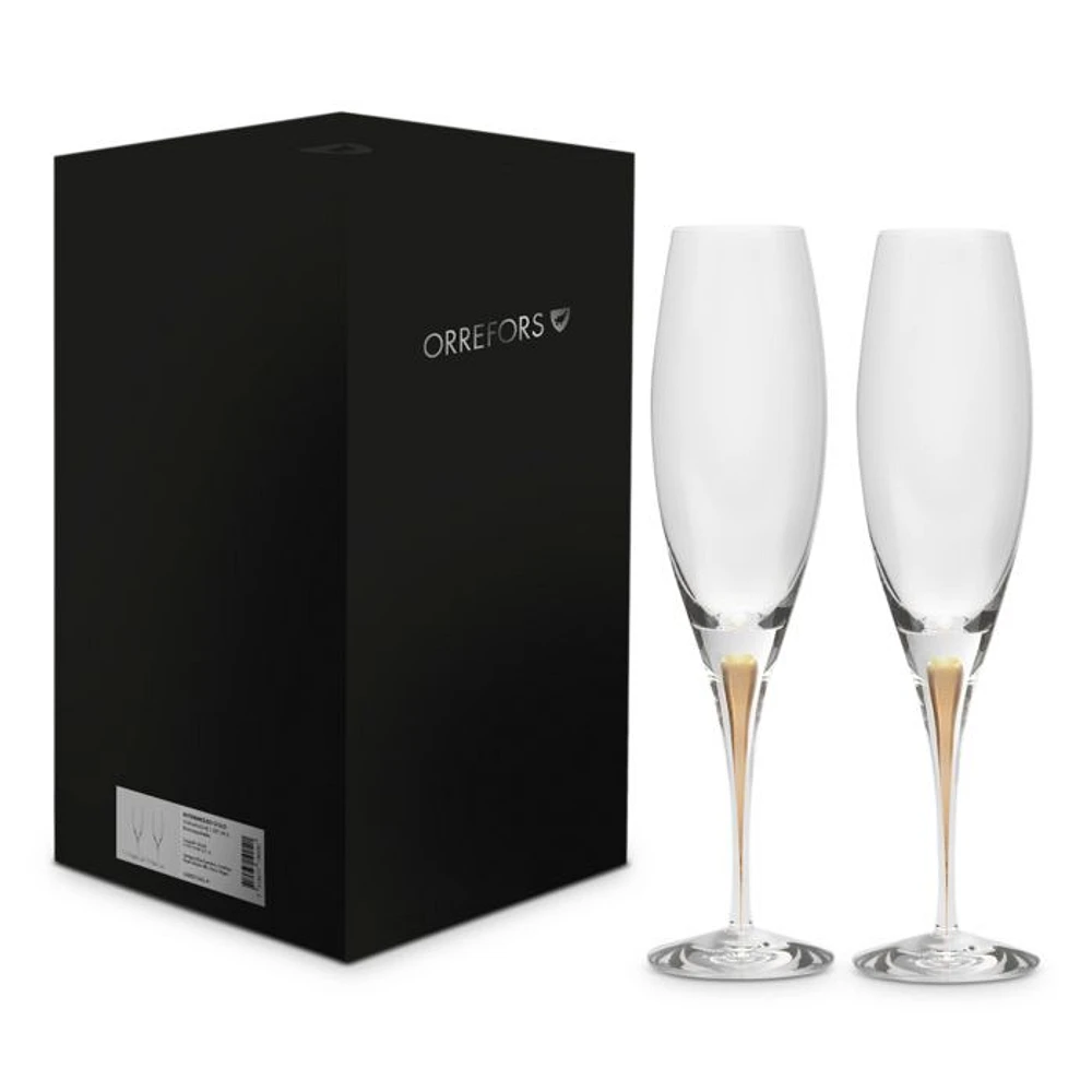 Intermezzo Gold Champagne Glasses, Set of 2