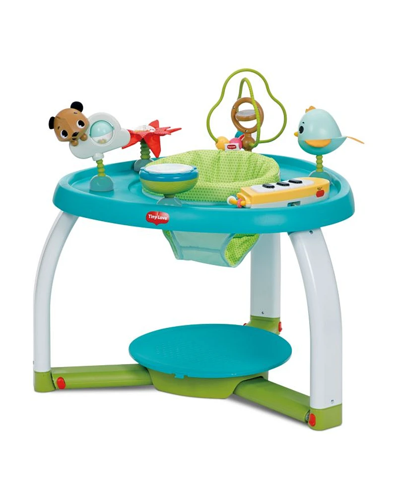 Meadow Days Stationary Activity Center - Ages 6 months+