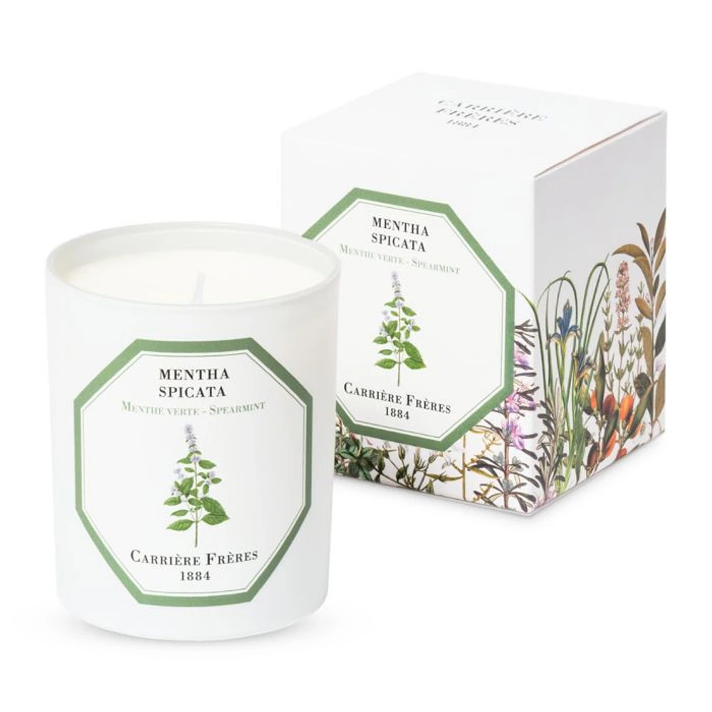 Spearmint Scented Candle, 6.5 oz.
