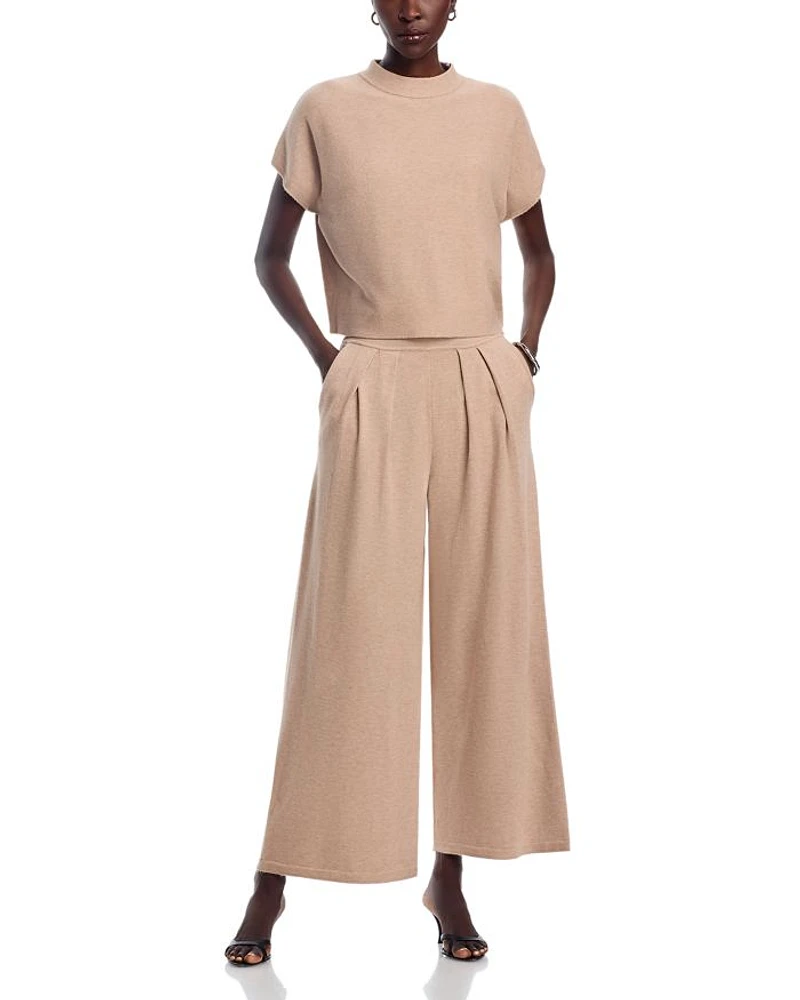 Short Sleeve Sweater Top & Pleated Waist Pants