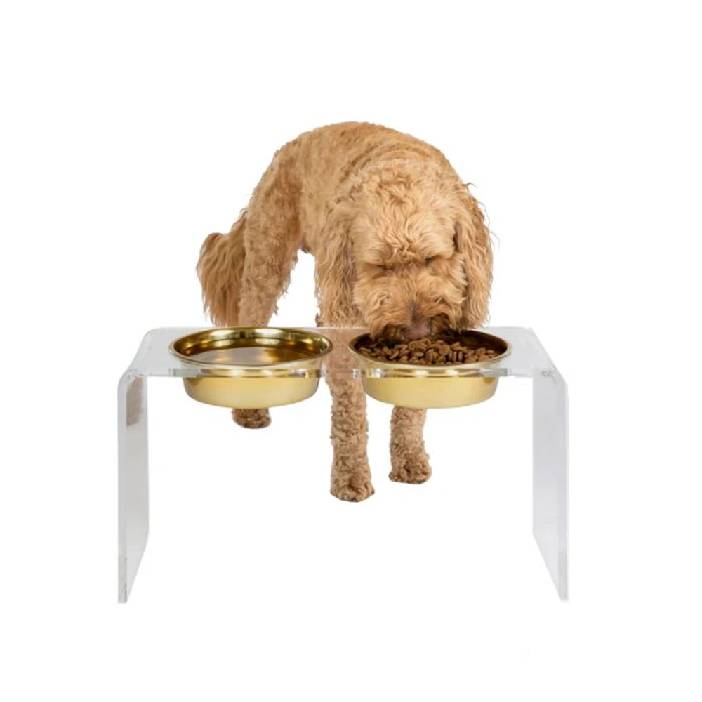Large Clear Double Bowl Pet Feeder, 2 Quart Bowls