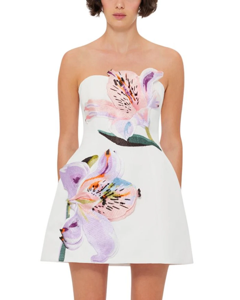 Rosario Appliqué Floral Bustier Mini Dress