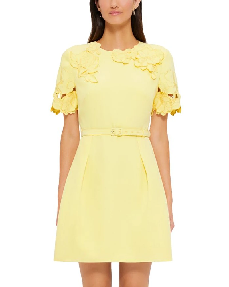 Aurelie Appliqué Mini Dress