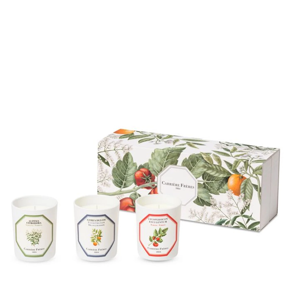 Botanical Candle Gift Box, Set of 3