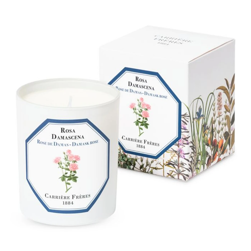 Damask Rose Scented Candle, 6.5 oz.