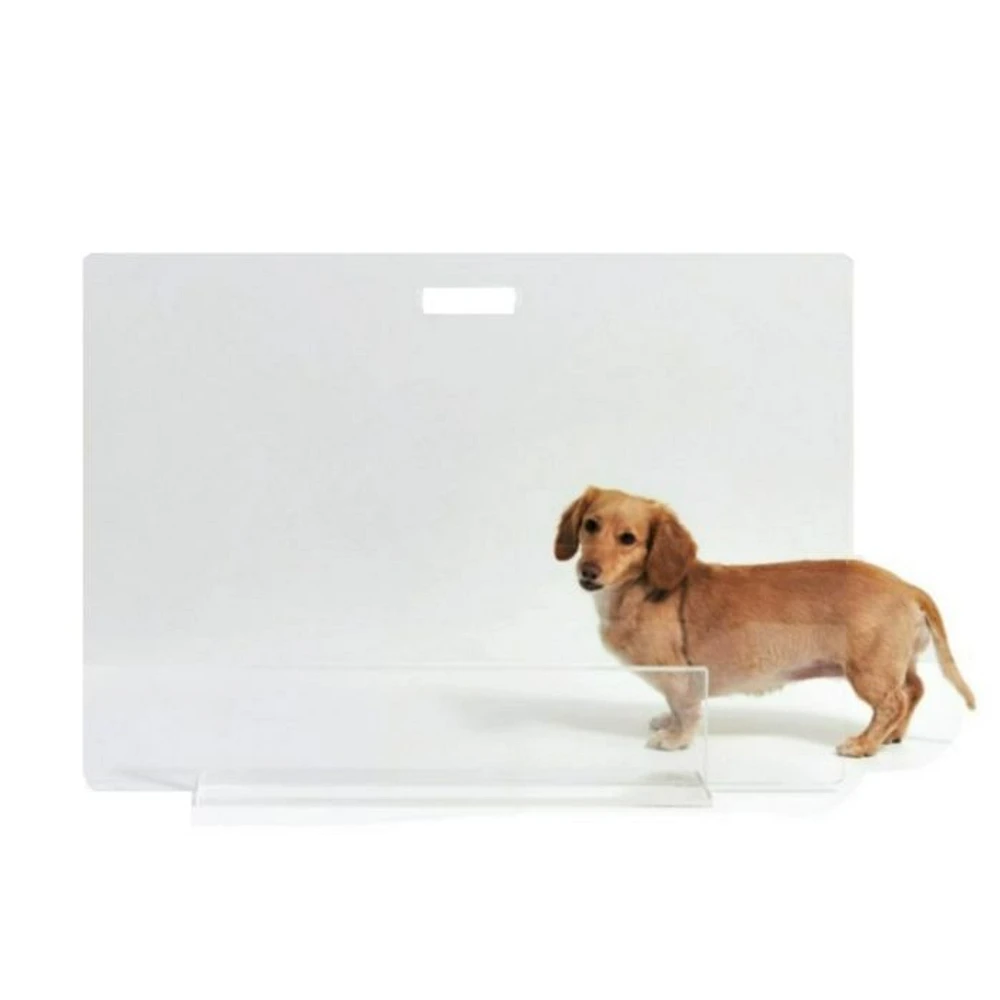 Clear View Freestanding Panel Pet Gate