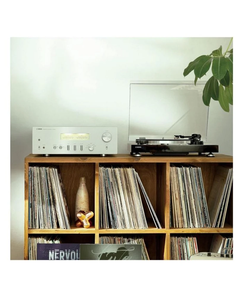 A-S1200 Integrated Amplifier