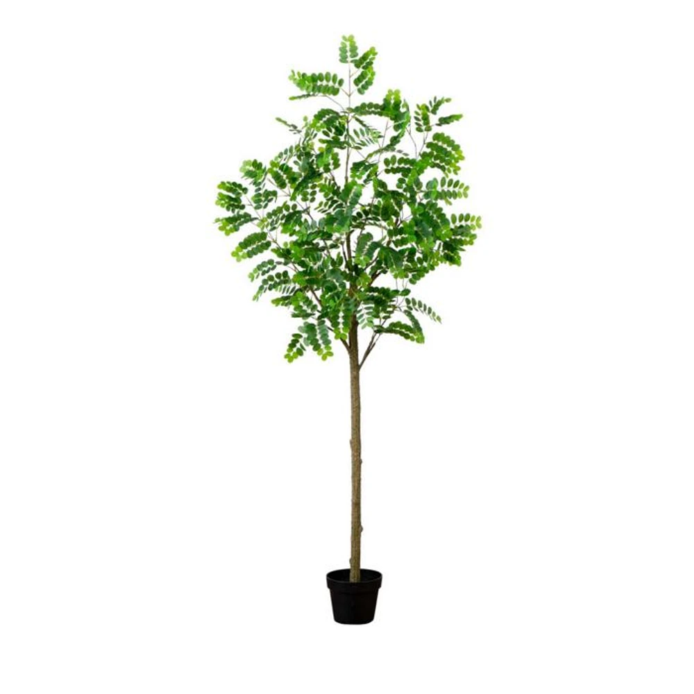 6' Artificial Greco Citrus Tree with Real Touch Leaves