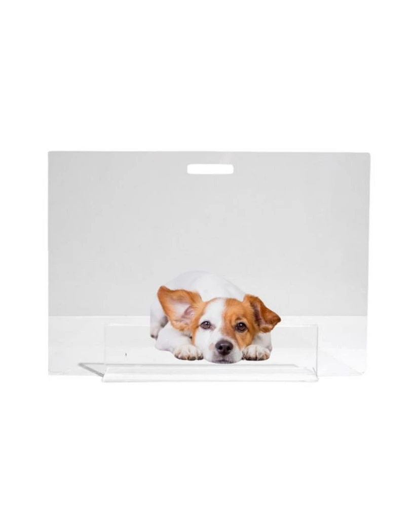 Low Clear Pet Gate Panel