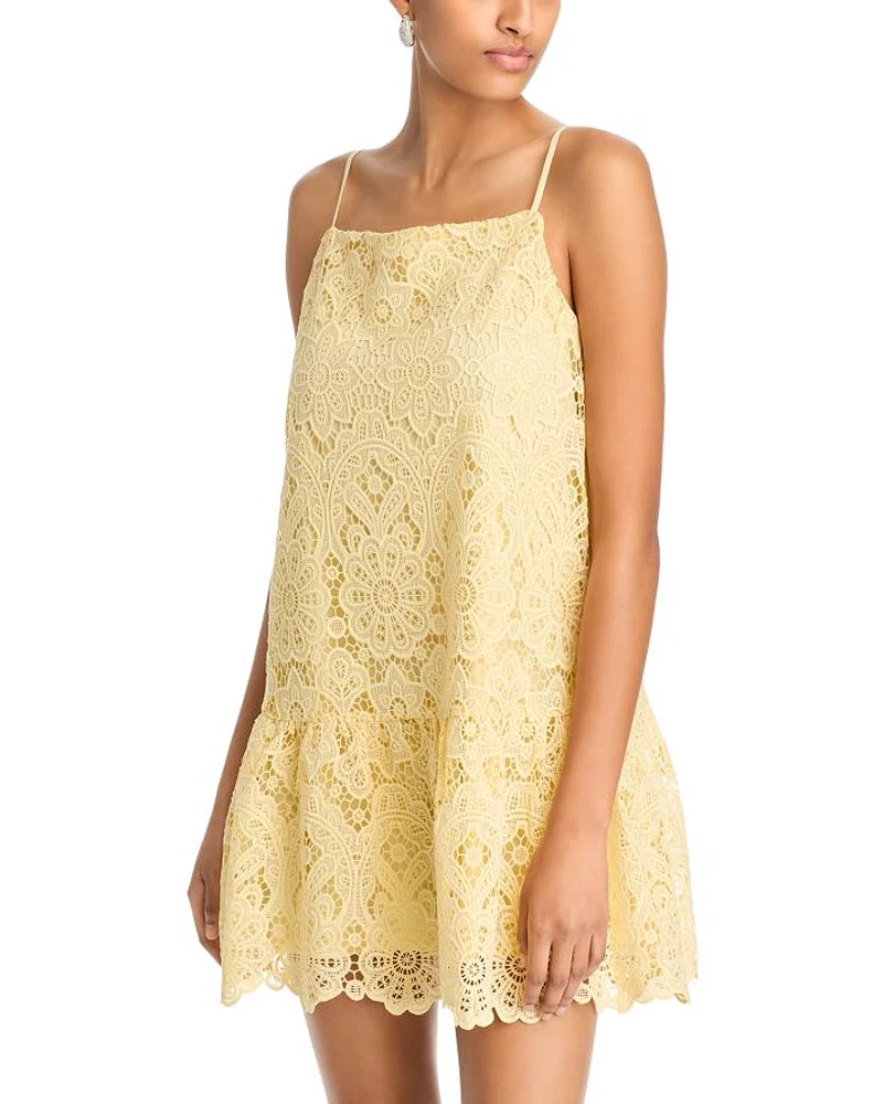 Lace Drop Waist Mini Dress - Exclusive