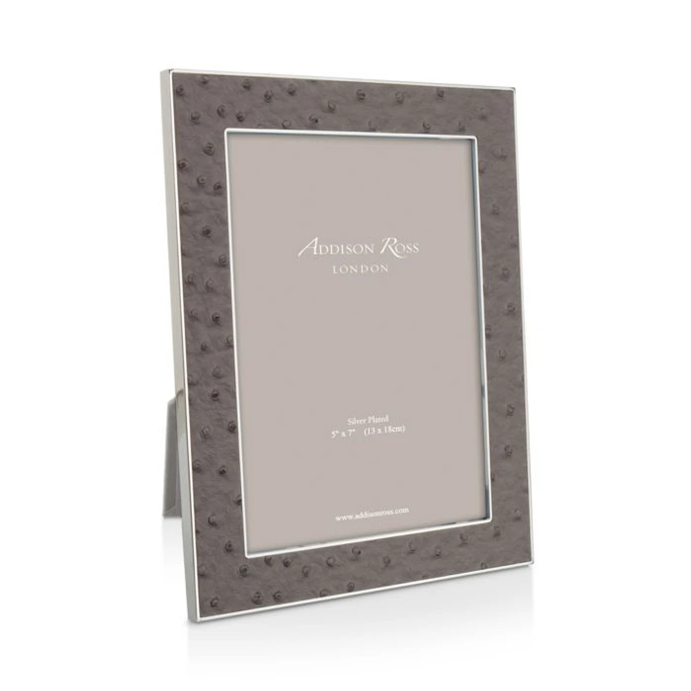 Ostrich Frame Collection