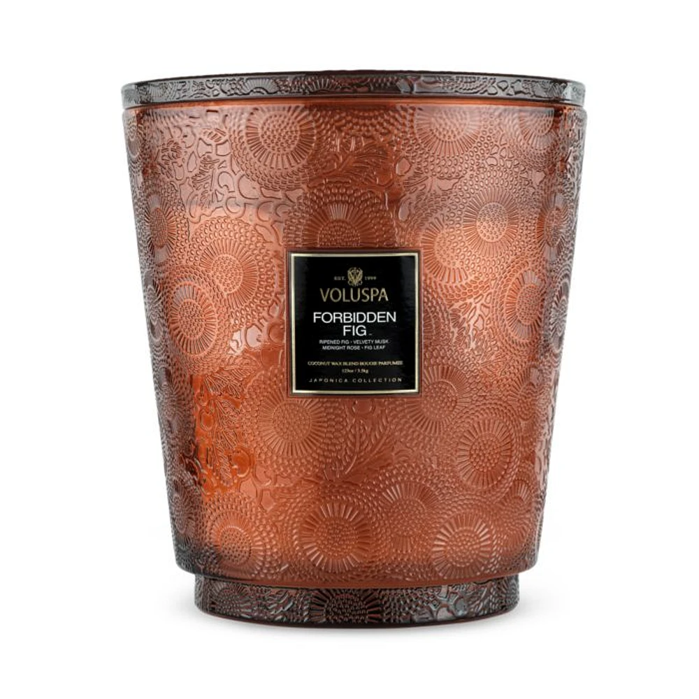 Forbidden Fig Five Wick Hearth Candle, 123 oz.